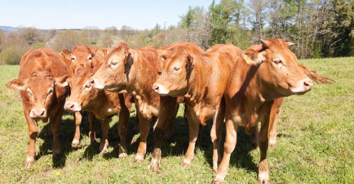 IMG_20180429_225950_806