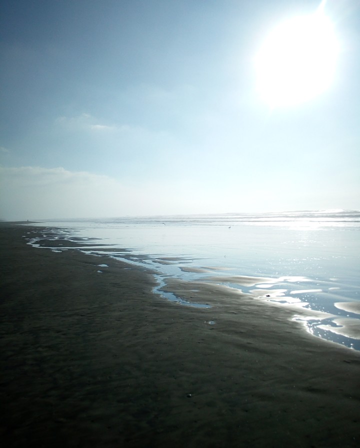 IMG_20181215_190438_978