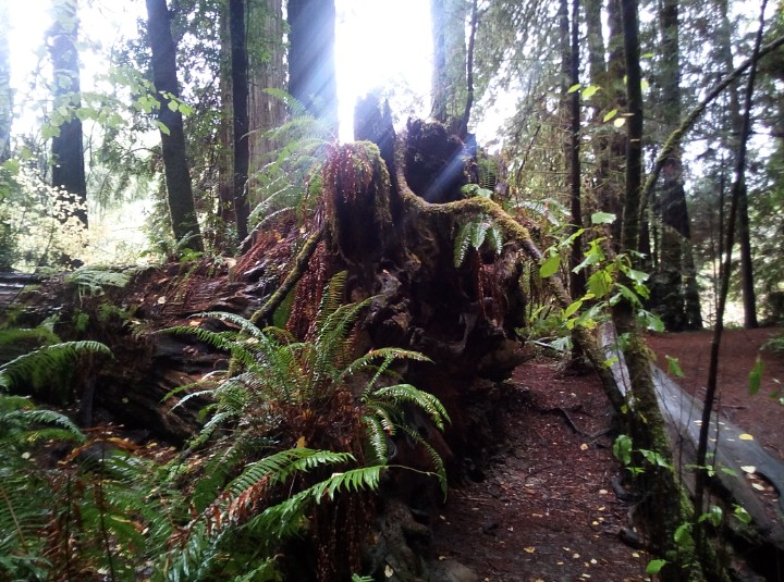 IMG_20181202_193949_242