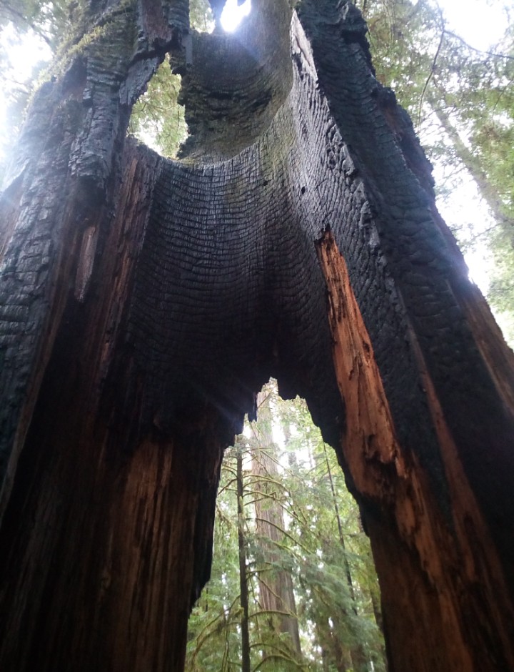 IMG_20181202_194021_282