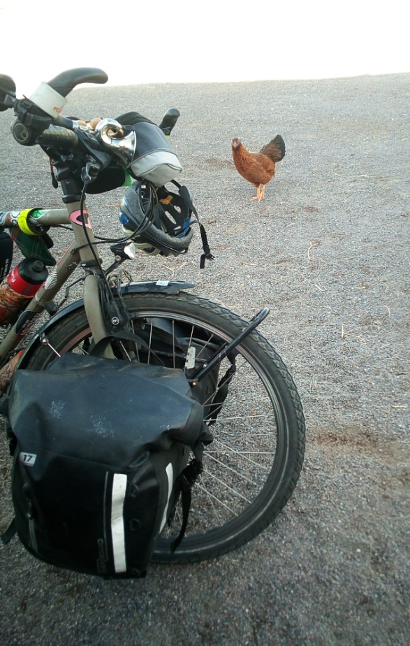 img_20190111_204055_816