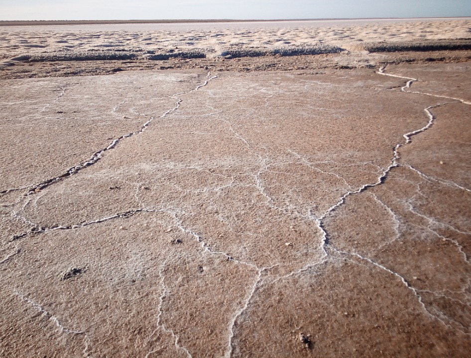 img_20190126_210910_486