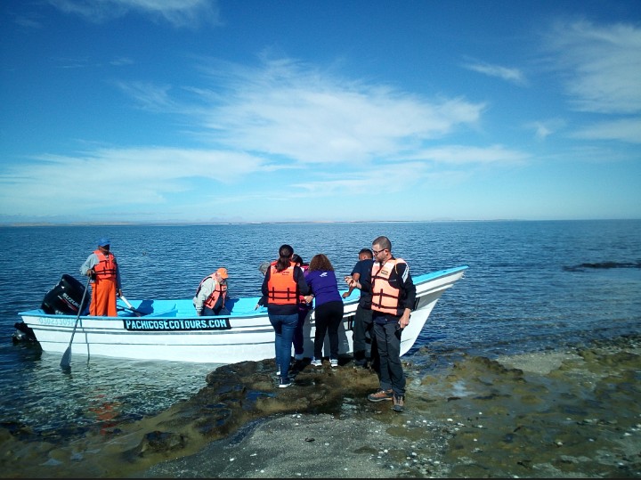 IMG_20190207_171159_111