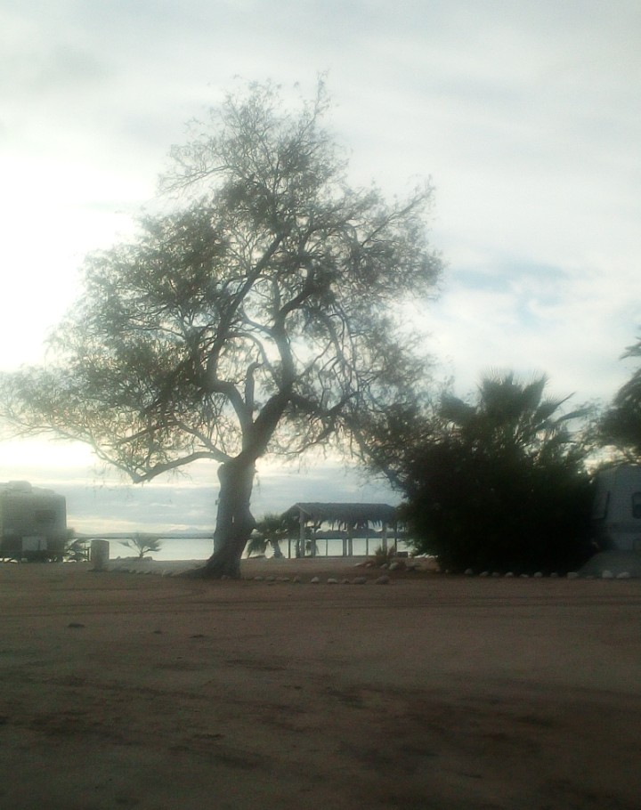 IMG_20190207_171308_210