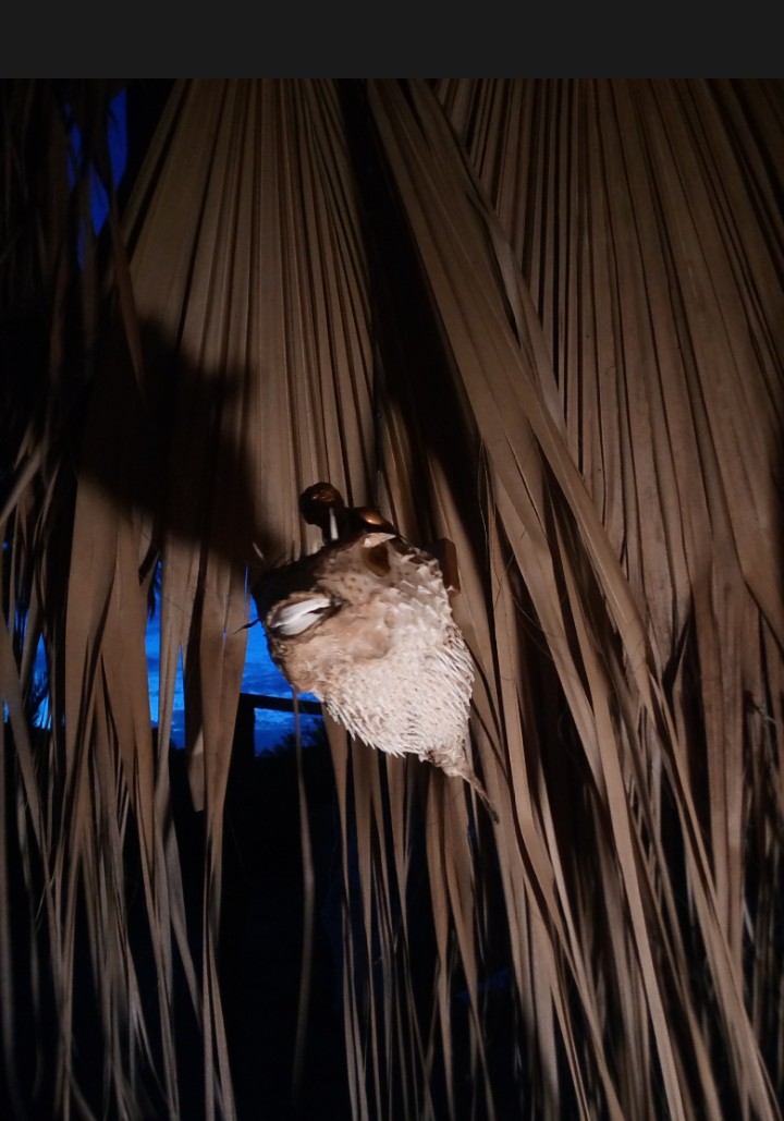 IMG_20190207_171336_841