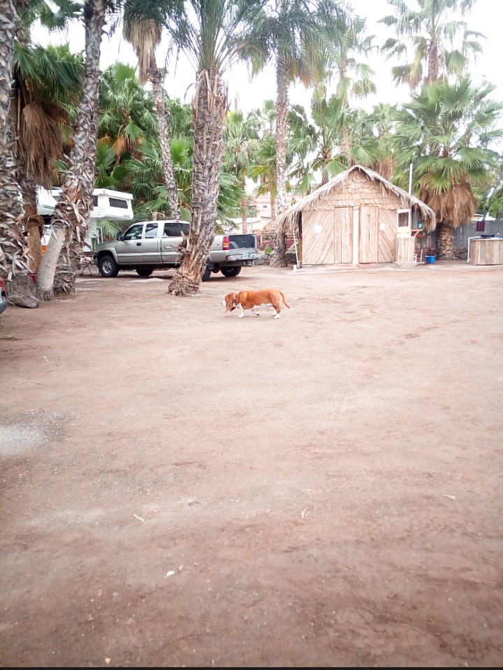 IMG_20190209_110324_100