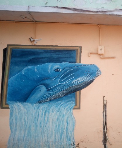 IMG_20190217_124838_515