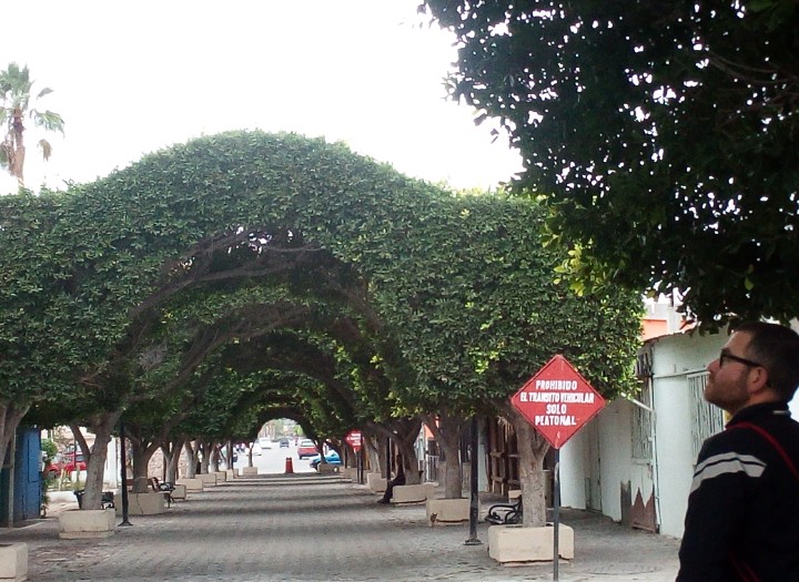 IMG_20190217_124846_418