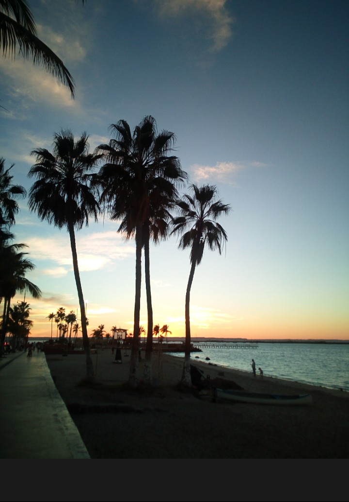 IMG_20190217_124921_930