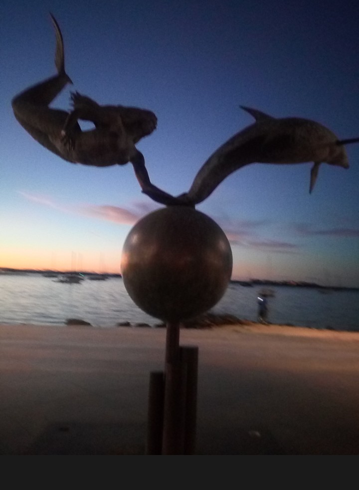 IMG_20190217_124945_734