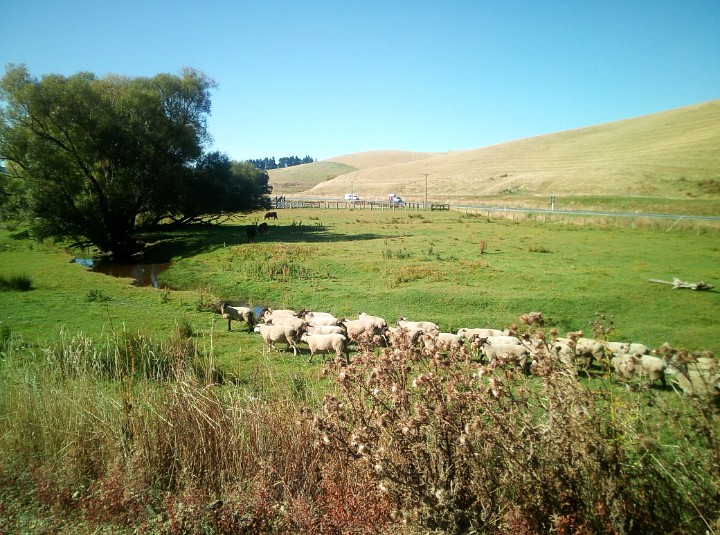 IMG_20190306_163539_487