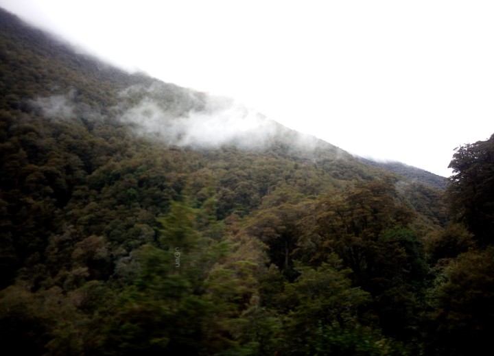 IMG_20190306_164116_606