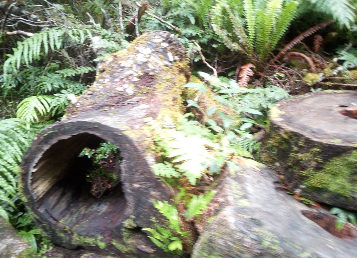 IMG_20190306_164144_600