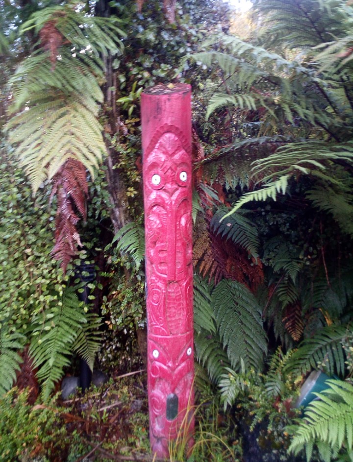 IMG_20190313_153718_506