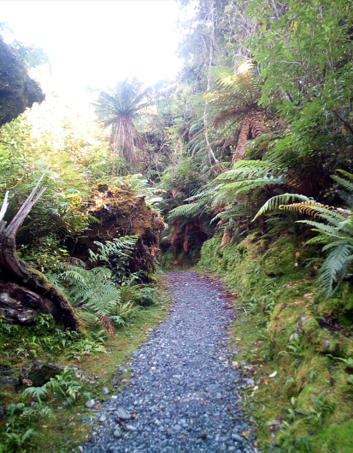 IMG_20190313_154152_715