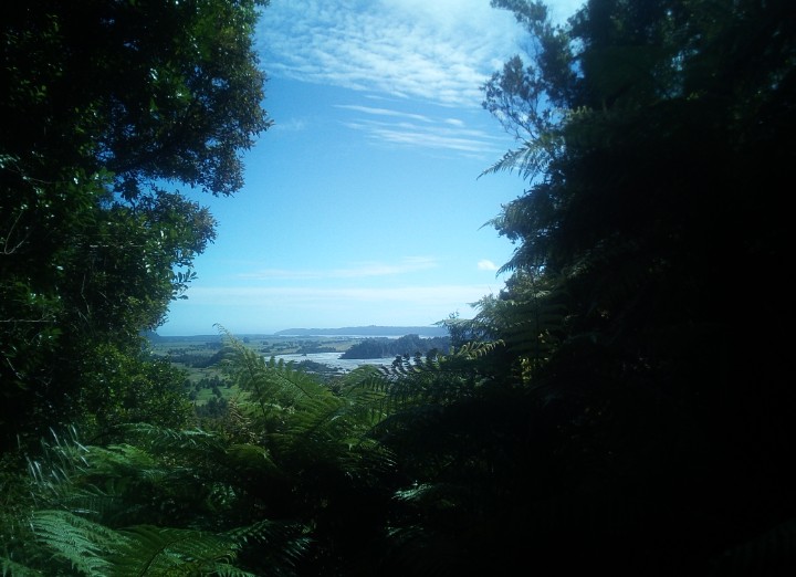 IMG_20190313_154228_353