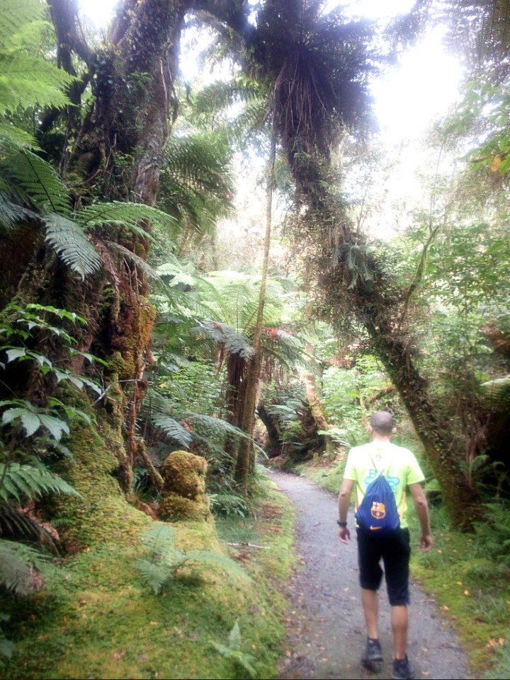 IMG_20190313_154244_621