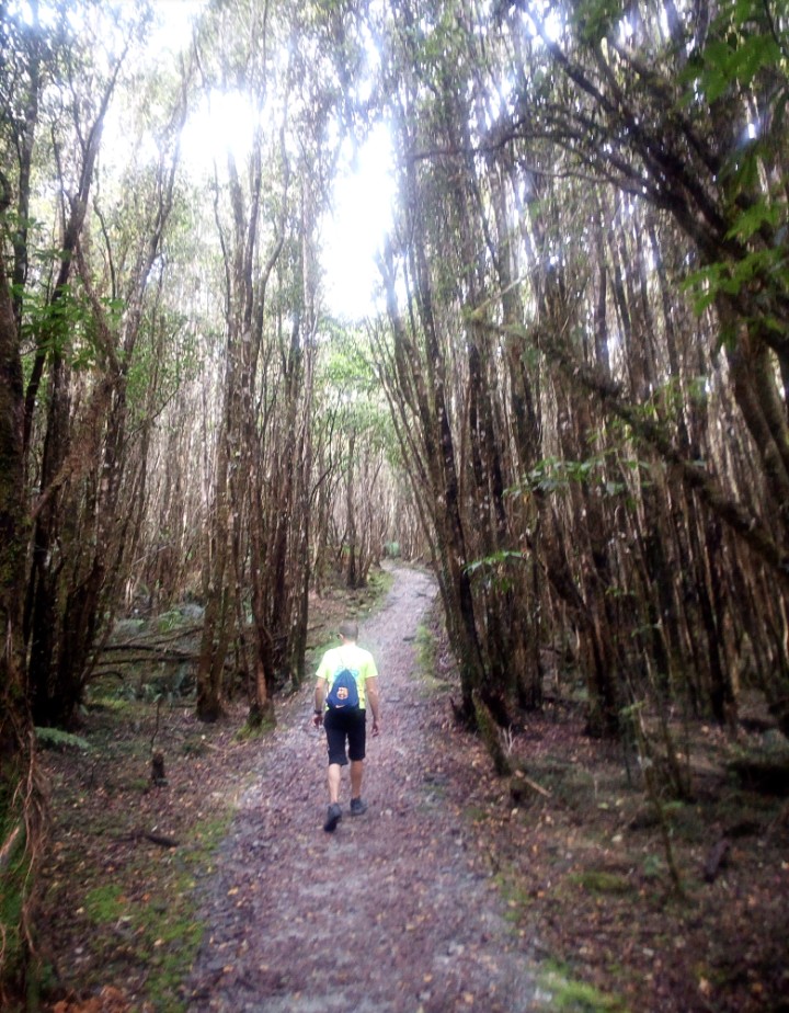 IMG_20190313_154257_594