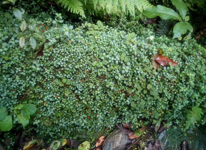 IMG_20190313_154339_068