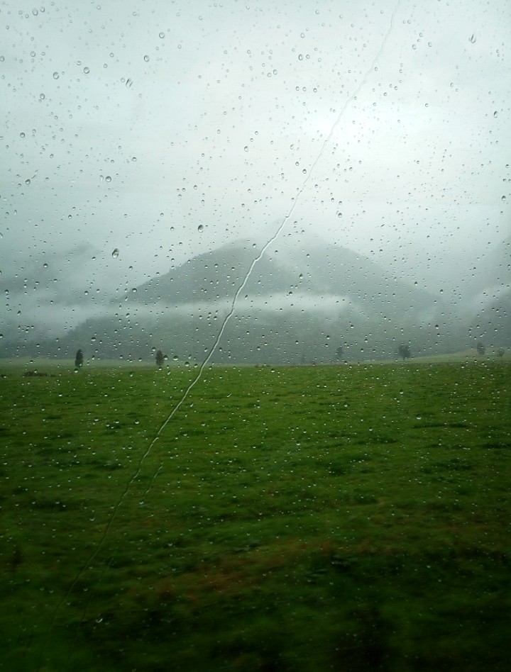 IMG_20190313_154543_083