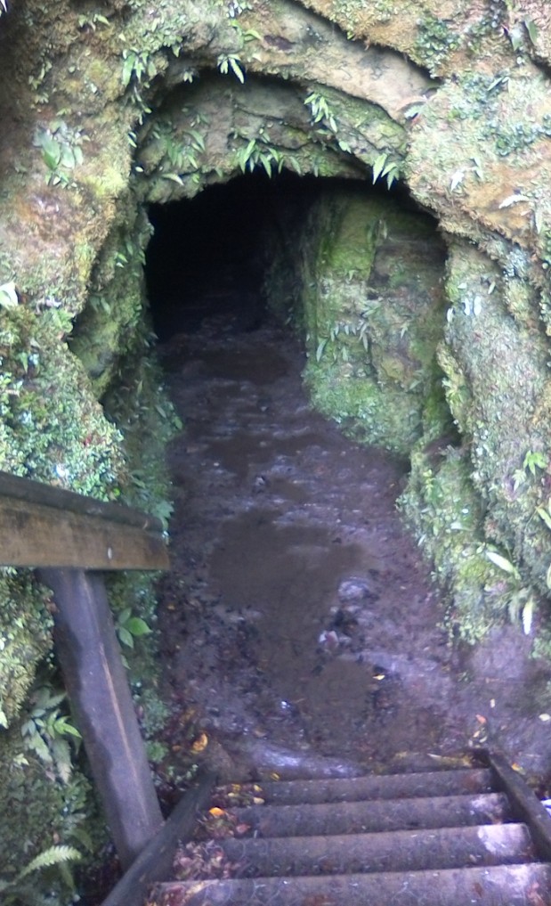 IMG_20190314_102156_126