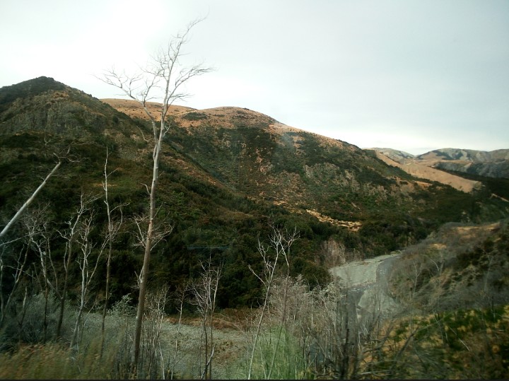 IMG_20190319_210415_835