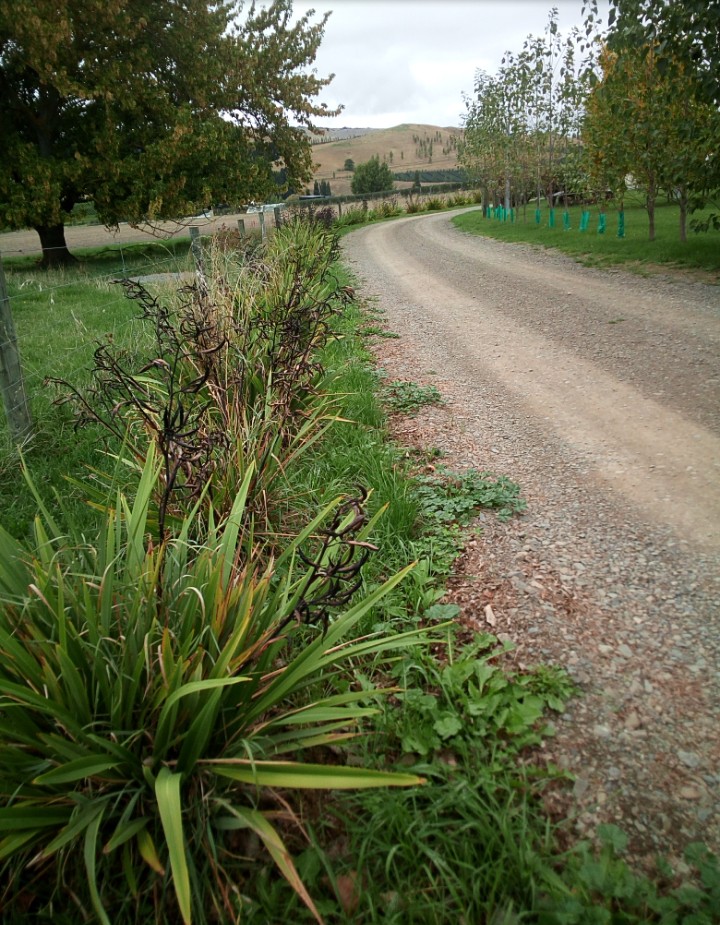 IMG_20190319_210635_104