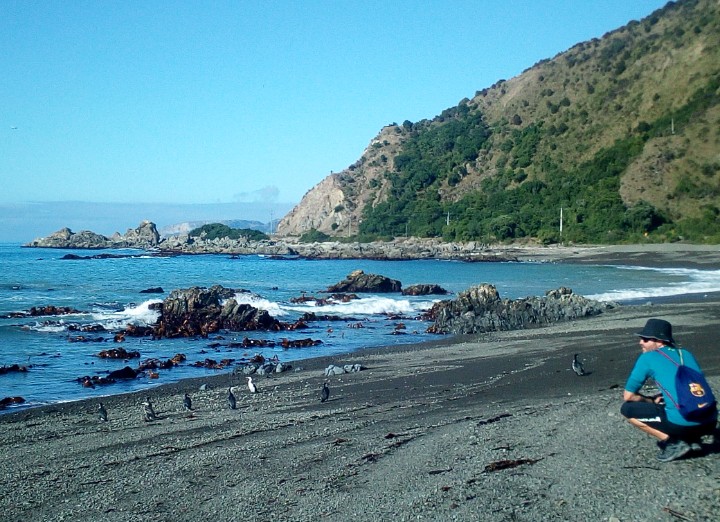 IMG_20190326_111748_023