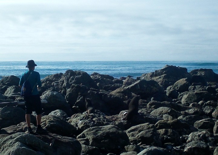 IMG_20190326_111801_555