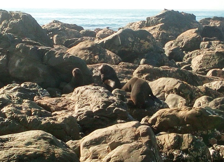 IMG_20190326_111812_024