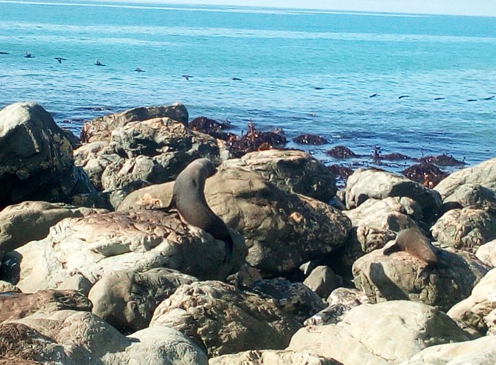 IMG_20190326_111821_243