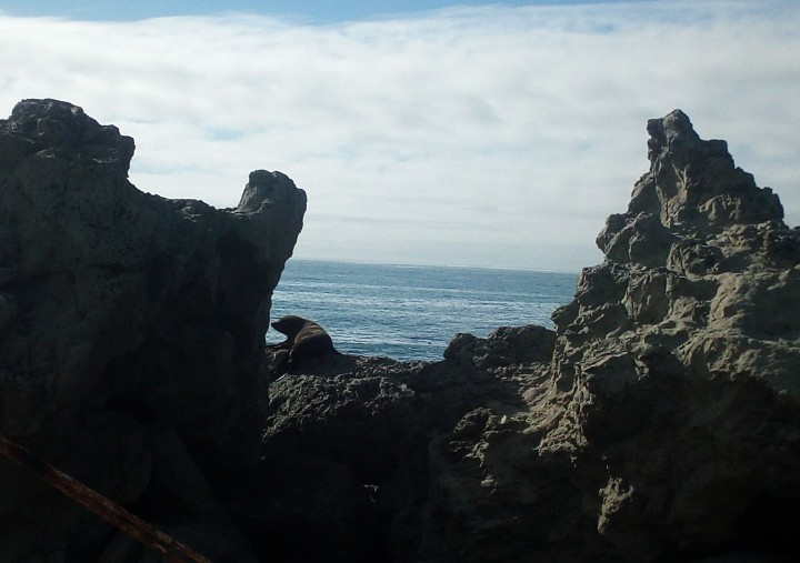 IMG_20190326_111834_660