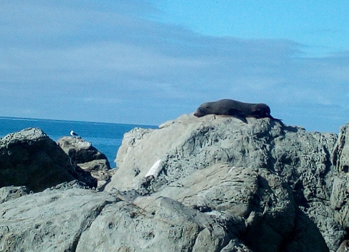 IMG_20190326_111843_364