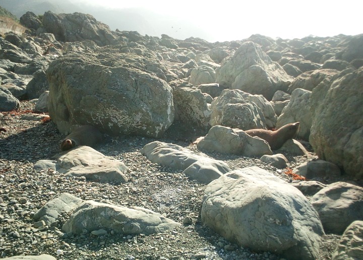 IMG_20190326_111851_935