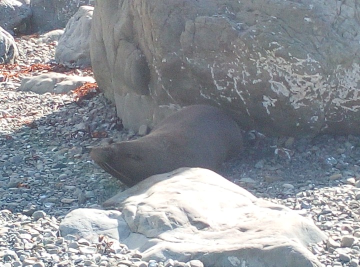 IMG_20190326_111901_536