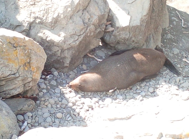 IMG_20190326_111914_201