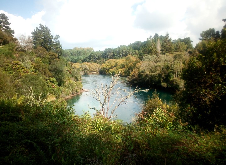 IMG_20190326_112203_580