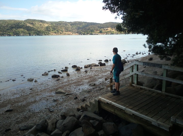 IMG_20190326_112356_256