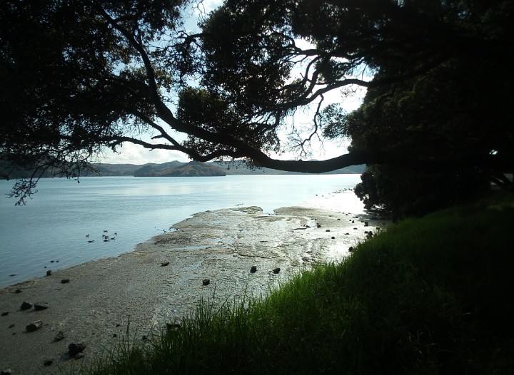 IMG_20190326_112419_756